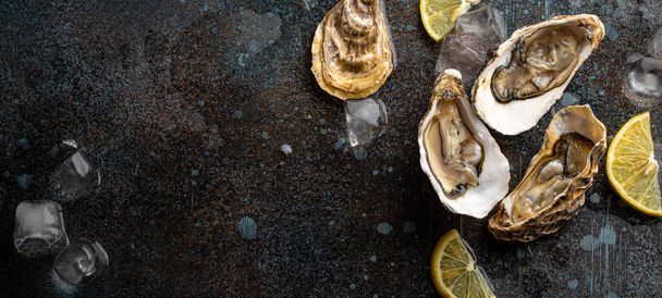 Fresh open oysters top view with lemon wedges and ice copy space - Photo, Image