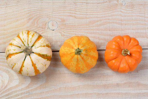 Overhead Decorative Pumpkins - Фото, зображення