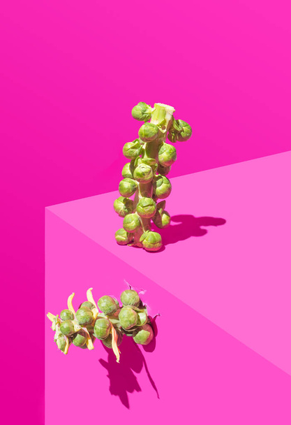 Fresh organic Brussel sprout stem on the corner of the table. Monochromatic purple background. Still life abstract concept. - Valokuva, kuva