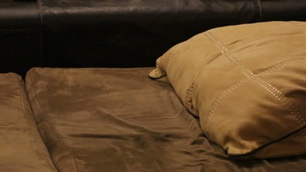 Азиатский мужчина спит дома на диване
. - Кадры, видео