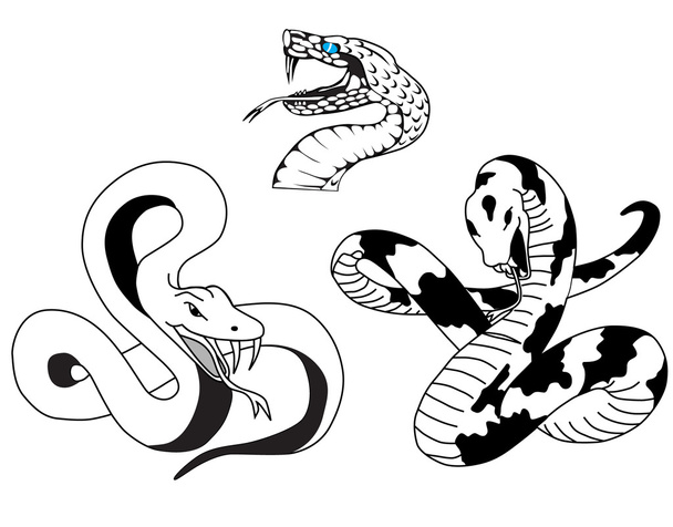 Snake tattoo - Vector, Image