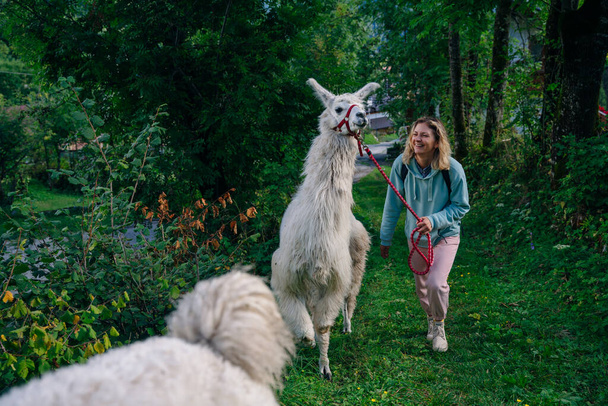 girl with a llama in the forest, italy. High quality photo - Foto, Imagem