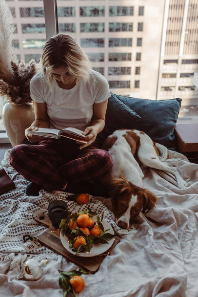 Woman and dog cuddle on bed. Winter cozy vibes. Mandarins, lights, books. Cute puppy. Reading book. Merry Christmas time. Holiday festive season. Cold winters. Staying at home.Warm blanket and pillows - Foto, Imagen