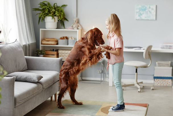 Маленька дівчинка танцює з собакою
 - Фото, зображення