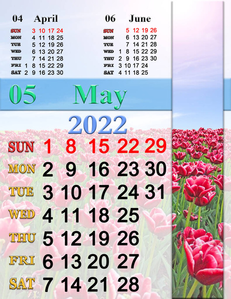 ημερολόγιο Μαΐου 2022 με ανθισμένες τουλίπες στο γήπεδο. Λουλούδια ανθίζουν την άνοιξη. Εαρινό ημερολόγιο Μάιος 2022. Απλό ημερολόγιο εκτυπώσιμο. 2022 ημερολόγιο τοίχου με εποχιακή φωτογραφία της φύσης - Φωτογραφία, εικόνα