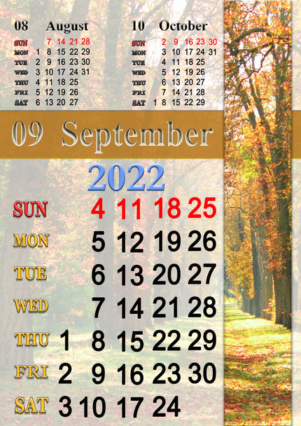 kalenteri syyskuu 2022 syksyllä puisto puita keltainen väri. syyskuu 2022. Kalenteri Tulostettava. seinäkalenteri kausiluonteinen luonnollinen kuva. Syksyinen puisto keltaisilla lehdillä - Valokuva, kuva