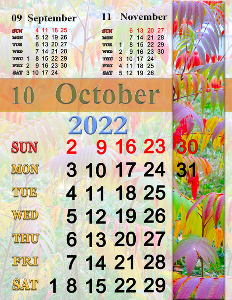 calendar for October 2022 with multicolored leaves in autumn park. autumn calendar October 2022. Calendar Printable. wall calendar with seasonal natural photo. Autumnal park with multicolored leaves - Photo, Image