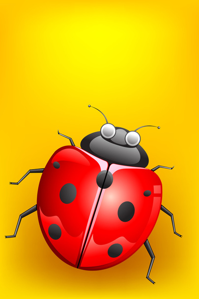 Lady Bug - Вектор,изображение