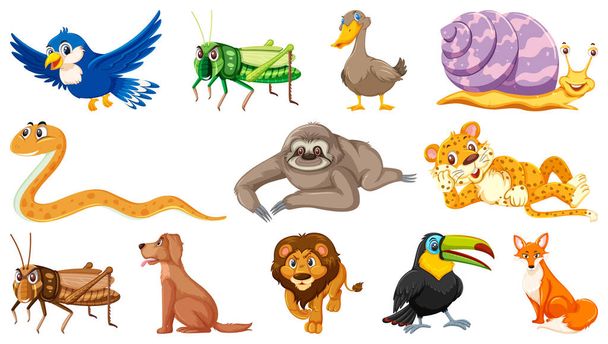 Ensemble d'illustrations isolées de divers animaux - Vecteur, image