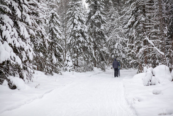 Ein Mann in dunkler Jacke geht im Winter durch einen verschneiten Wald. - Foto, Bild