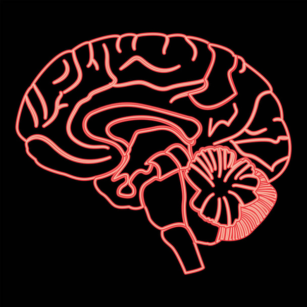 Неоновий мозок червоного кольору Векторні ілюстрації зображення плоский стиль світла
 - Вектор, зображення