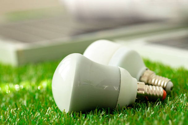 Energy efficient light bulb lying on grass - Fotoğraf, Görsel