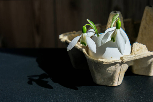 Concepto creativo mínimo de Pascua y primavera con nevada en la cáscara de huevo blanca sobre fondo oscuro. Estilo de vida sostenible. Reutilizable. Residuos cero - Foto, Imagen