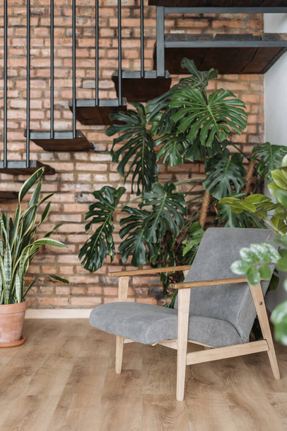 Cropped view of armchair standing in cozy loft styled living room in new apartment. Home environment concept. Modern flat with stairs interior design. Plants decorations - Foto, Bild