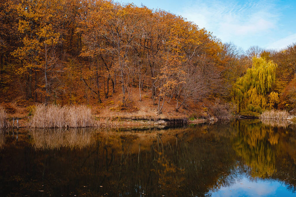 Schönheit Herbst Natur Konzept Hintergrund. - Foto, Bild