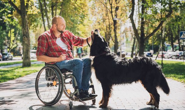 Happy young man with a physical disability who uses wheelchair with his dog. - Foto, imagen