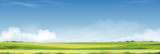 Printemps, Paysage d'été dans le village avec prairie sur les collines, nuage et ciel bleu background.Panorama campagne champ de fram, montagne et herbe verte le matin, Bande dessinée vectorielle belle nature bannière  - Vecteur, image