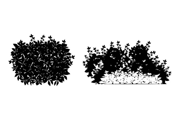 Dekoratív design elem fekete-fehér színekben.Állítsa be a monokróm sziluett bokrok és fák. - Vektor, kép