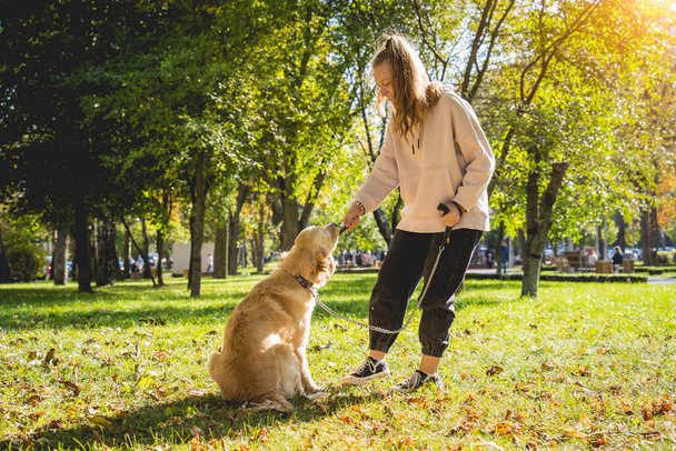 The owner plays the golden retriever dog in the park. - Foto, Bild