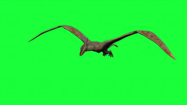 Egg And Pterodactyl 3d Rendering Stock Photo, Picture and Royalty Free  Image. Image 89352130.