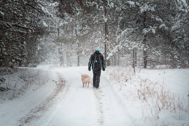 mężczyzna wyprowadzający psa w zaśnieżonym lesie - Zdjęcie, obraz