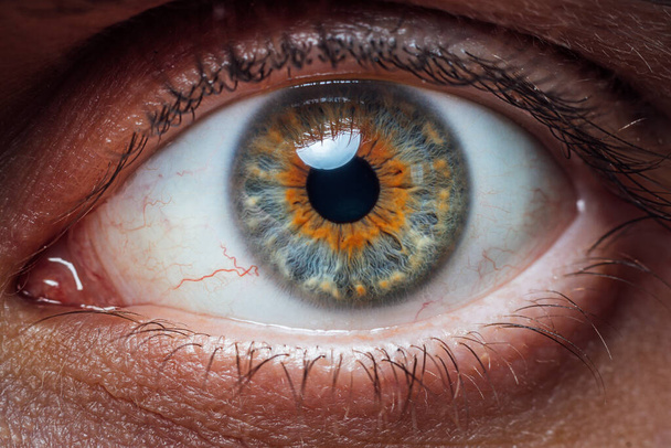 Beautiful macro photo of man's eye. Close up of blue brown eye with capillaries. Macro image of human eye. - Photo, Image
