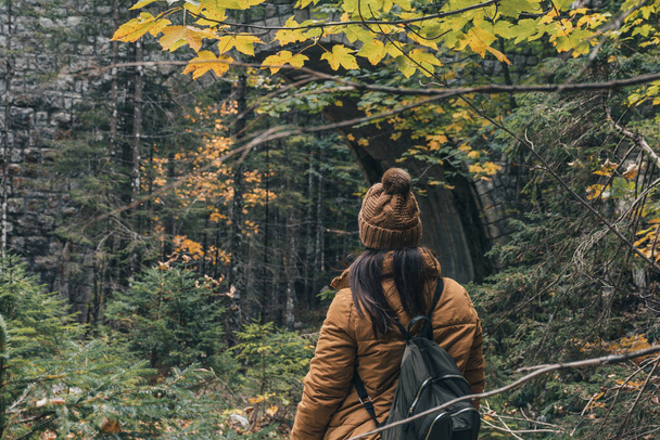 A female hiker walking in the colorful forest in autumn - Photo, image