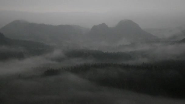 kalte neblige Nacht in einem Falltal des Sächsischen Nationalparks. Hügel aus der Dunkelheit. - Filmmaterial, Video