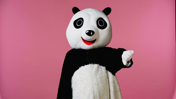 személy panda medve jelmez mutatja ellenszenv elszigetelt rózsaszín  - Fotó, kép