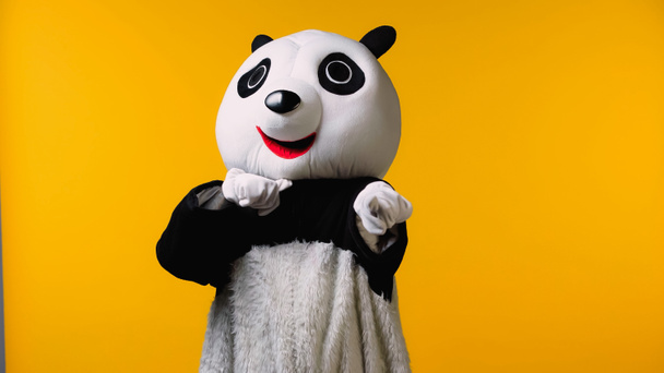 personne en costume d'ours panda menaçant isolé sur jaune
 - Photo, image