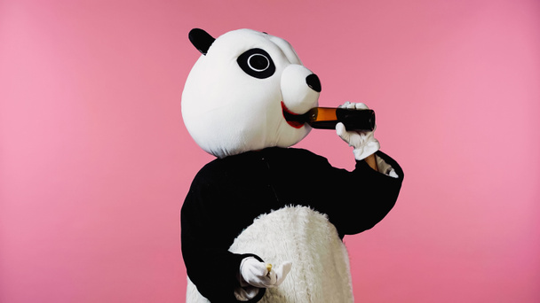 Panda kostümü giyen, şişeden şarap içen ve pembeye izole edilmiş mantar tutan biri. - Fotoğraf, Görsel