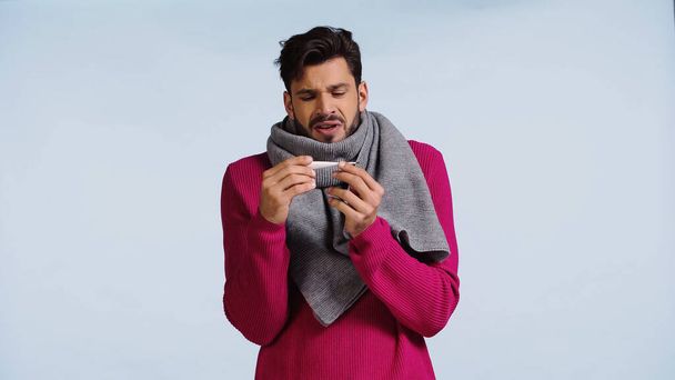 hombre enfermo en suéter rosa y bufanda mirando termómetro digital aislado en azul  - Foto, Imagen