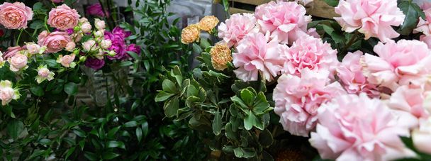 цветы крупным планом в холодильнике цветочного магазина - Фото, изображение