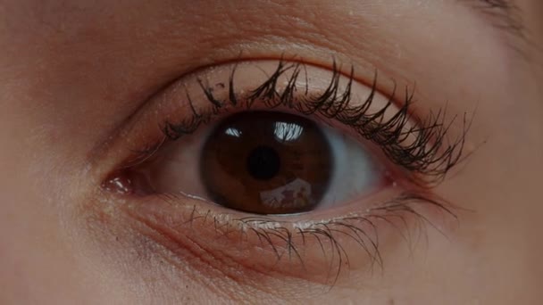 Extreme close-up van het menselijk oog voor de camera - Video