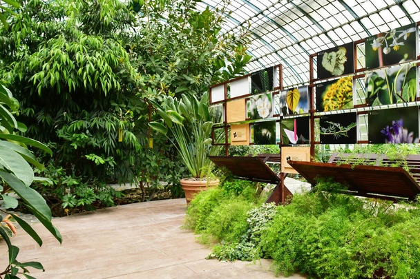 Paris; France - july 8 2021 : the Auteuil greehouses garden created in 1898 - Photo, Image