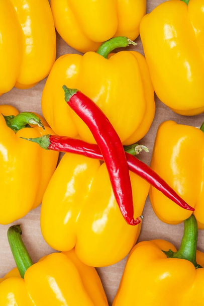 Két piros csípős chili paprika fekszik édes sárga paprika harang paprika egy dobozban. Egy kirakatot zöldségekkel. Különböző típusok. - Fotó, kép