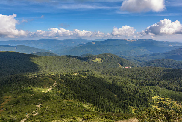 Szlak na górę Hoverla. Góry Karpackie na Ukrainie. - Zdjęcie, obraz