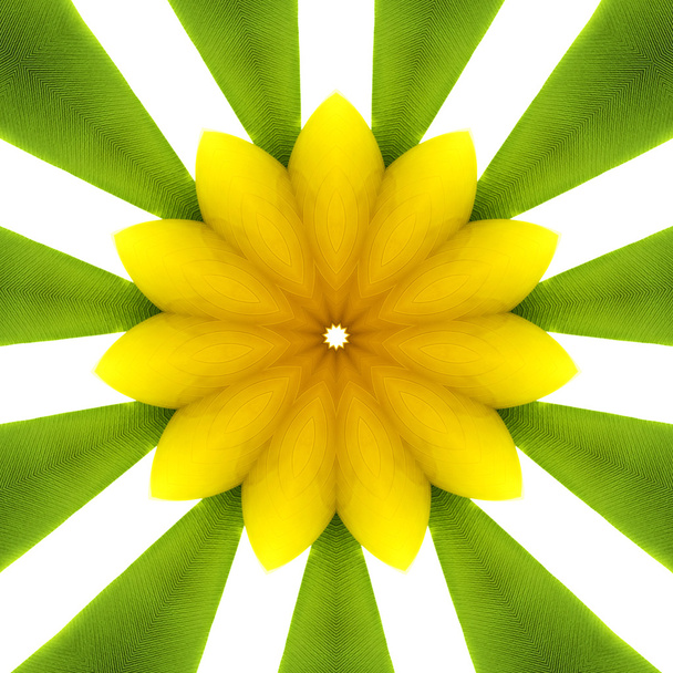 Yellow growing flower background - Zdjęcie, obraz