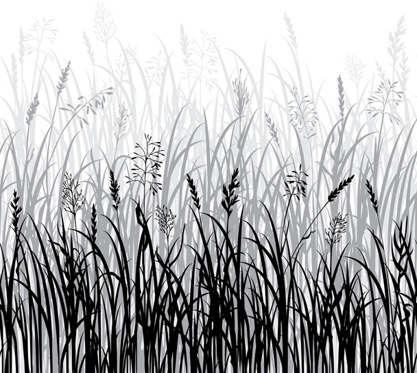 Silhouettes of hand drawn grass - Вектор, зображення