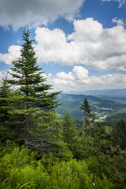 Top of Mount Mansfield in Vermont - Foto, imagen