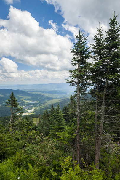 Top of Mount Mansfield in Vermont - Photo, image