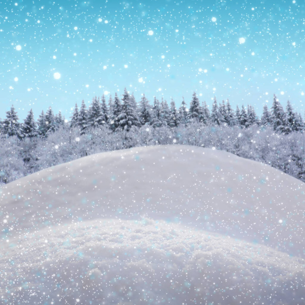 Χριστουγεννιάτικο φόντο με λευκό χιόνι και χειμερινά δέντρα. - Φωτογραφία, εικόνα