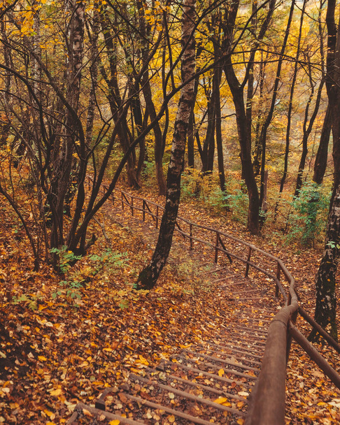 escaleras en otoño parque temporada de otoño - Foto, imagen