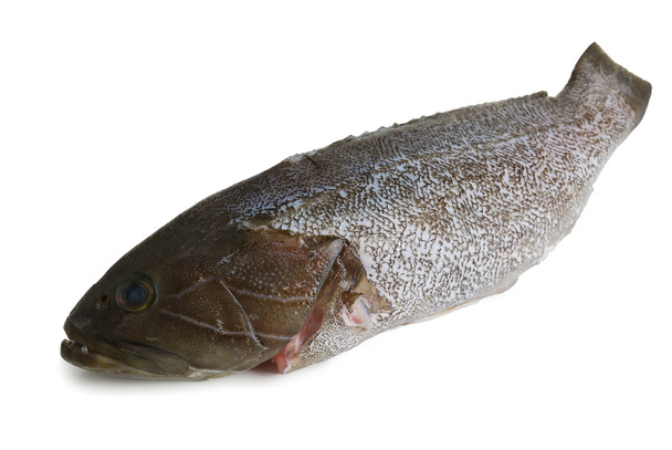 Масштабований окуня рибою
 - Фото, зображення