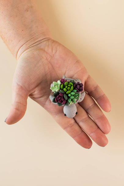 Realistic succulents made of polymer clay in a pot in the shape of a turtle in the palm of a woman - Foto, Bild