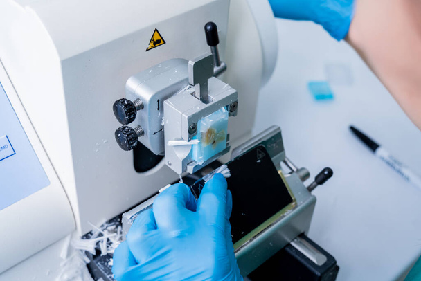Laboratóriumi asszisztens rotációs mikrotomos szekción dolgozik és mikroszkópos diákat készít - Fotó, kép