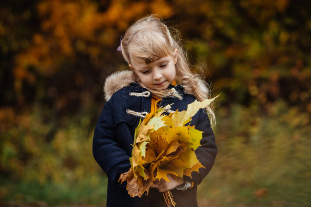 Ellerinde akçaağaç yaprakları olan sonbahar kıyafetli şirin kızların portresi. - Fotoğraf, Görsel