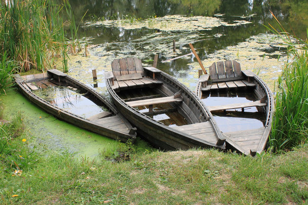 Stare łodzie - Zdjęcie, obraz