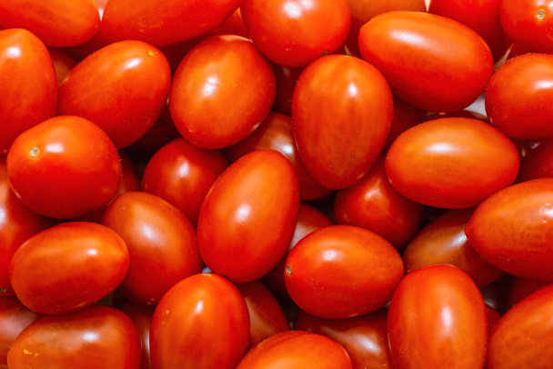 Ντομάτες κόκκινου δαμάσκηνου. Κλείσιμο επιλεκτικής εστίασης. - Φωτογραφία, εικόνα