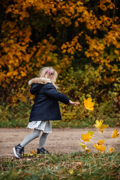 πορτρέτο των χαριτωμένων κοριτσιών βιολί σε φθινοπωρινή στολή με φύλλα σφενδάμου στα χέρια - Φωτογραφία, εικόνα
